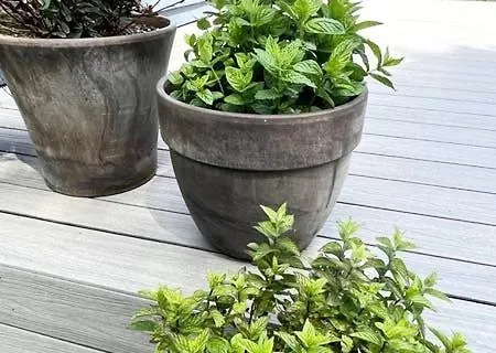 Дом отдыха The Stables Close To Galway And *