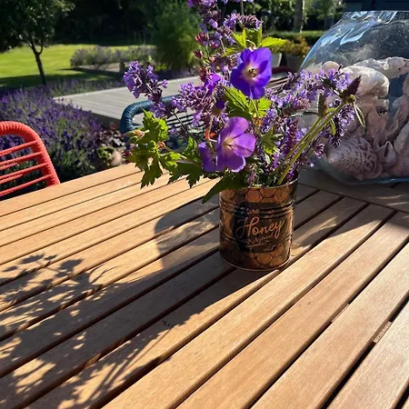 The Stables Close To Galway And *