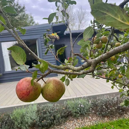 The Stables Close To Galway And * Oranmore