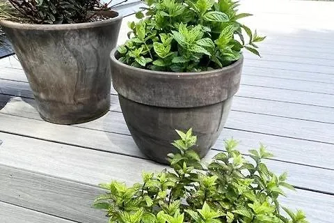 בית נופש The Stables Close To Galway And *